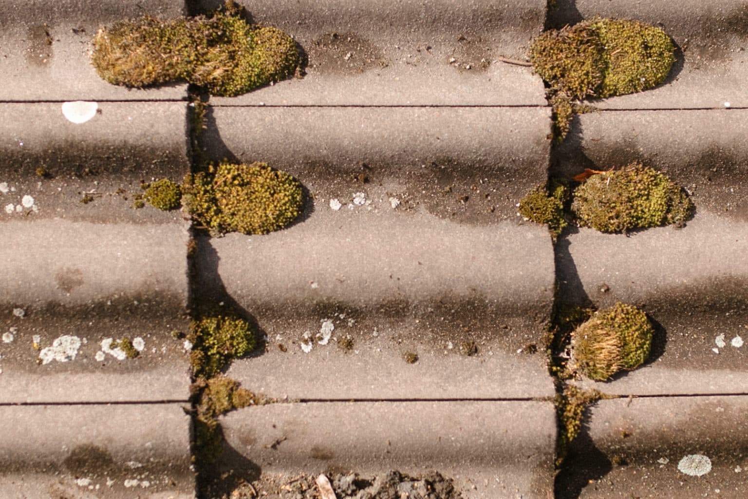 Sammaleen poisto katolta - kattava opas ja parhaat vinkit!